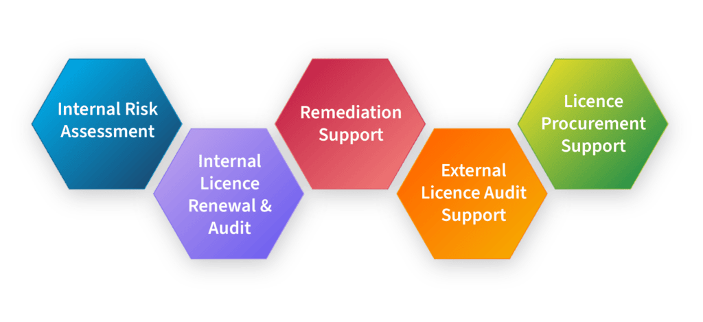 Effective License Position Visual IBM License Management | bedigital